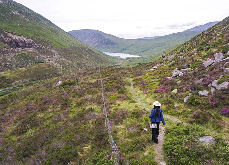 Mourne Mountains