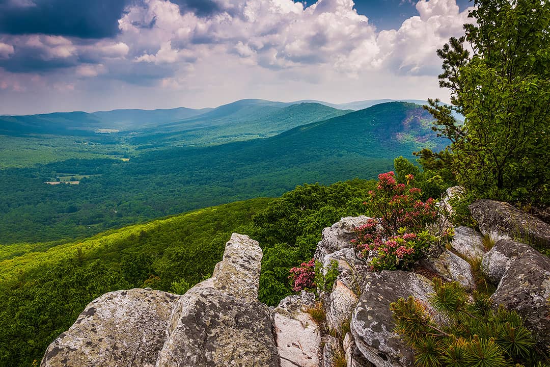 Tibbet Knob George Washington National Forest