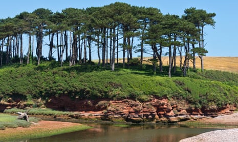 A view across the Otter Estuary Nature Reserve, Pebblebed Heaths