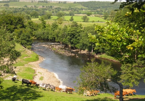 River Ure