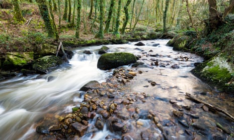 The River Par in the Luxulyan Valley.