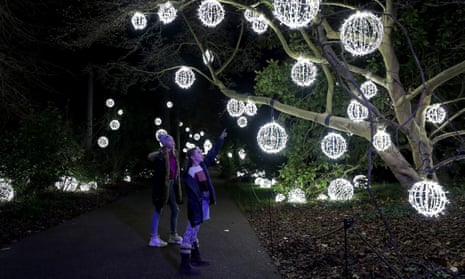 Branching out: Christmas at Kew Gardens.