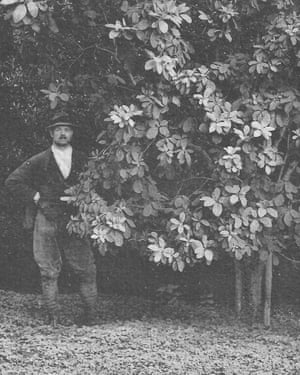 Westonbirt Rhus cotinoides with staff detail