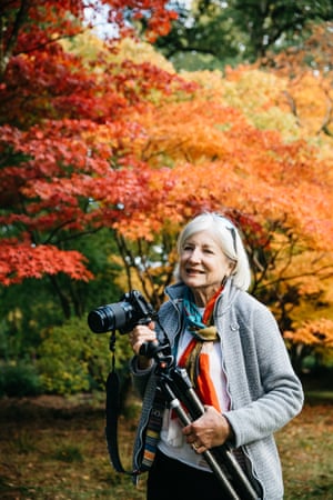 Ginny Campbell, a visitor from Devon photographing the trees at Westonbirt for a camera club competition.