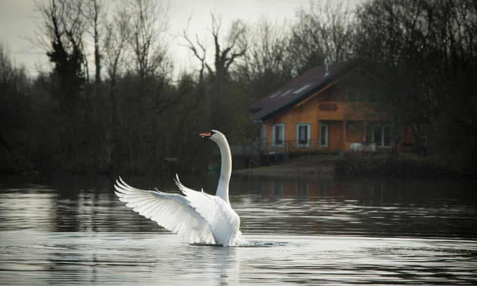 The lakes are a haven for birds