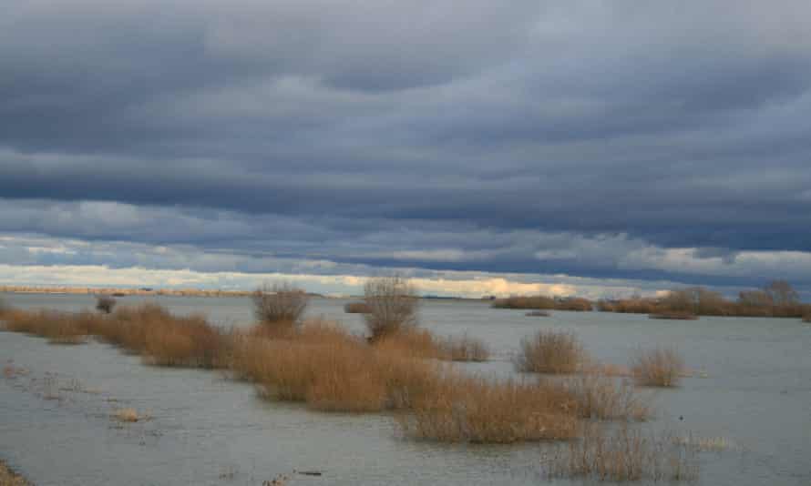 Ouse washes East Anglia fens