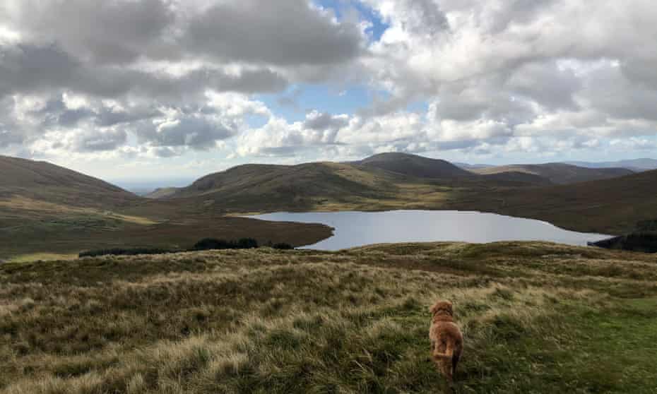 Mountains of Mourne, with lake and dog