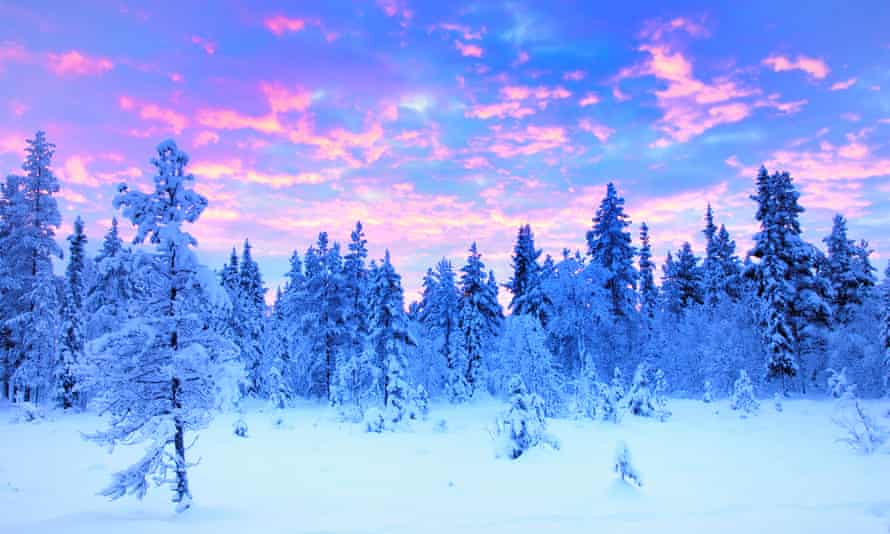 Snowy forest in Sweden