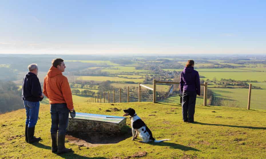 People with dog looking at a view