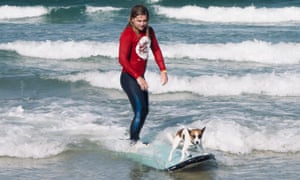 Surfer, and dog, both on a surfboard at Byron Bay, Australia.