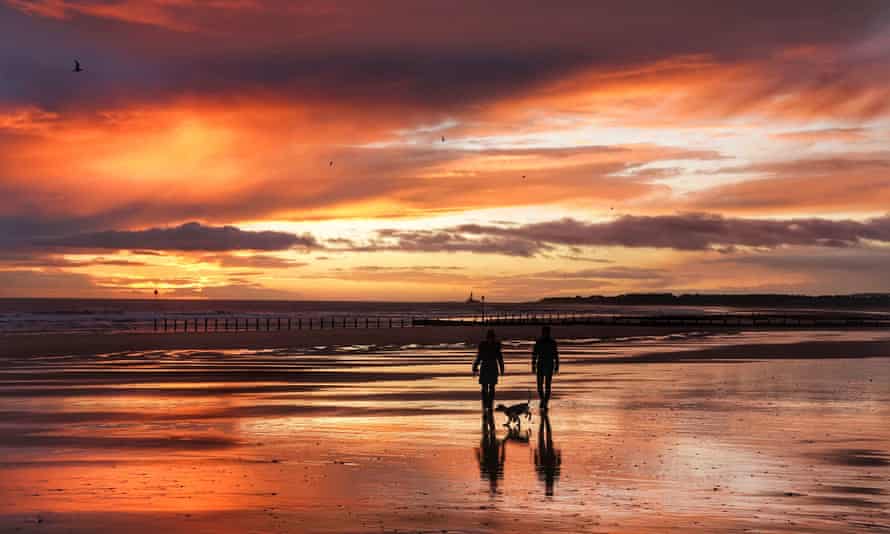 Dog walkers on Blyth beach in Northumberland.