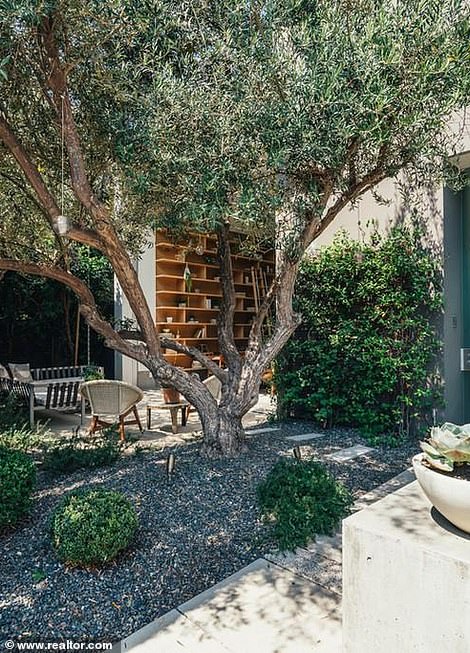 The yard around the home has olive trees and gravel sitting areas