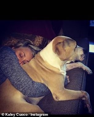 True love: The Flight Attendant star shares numerous photos of her cuddling with Norman