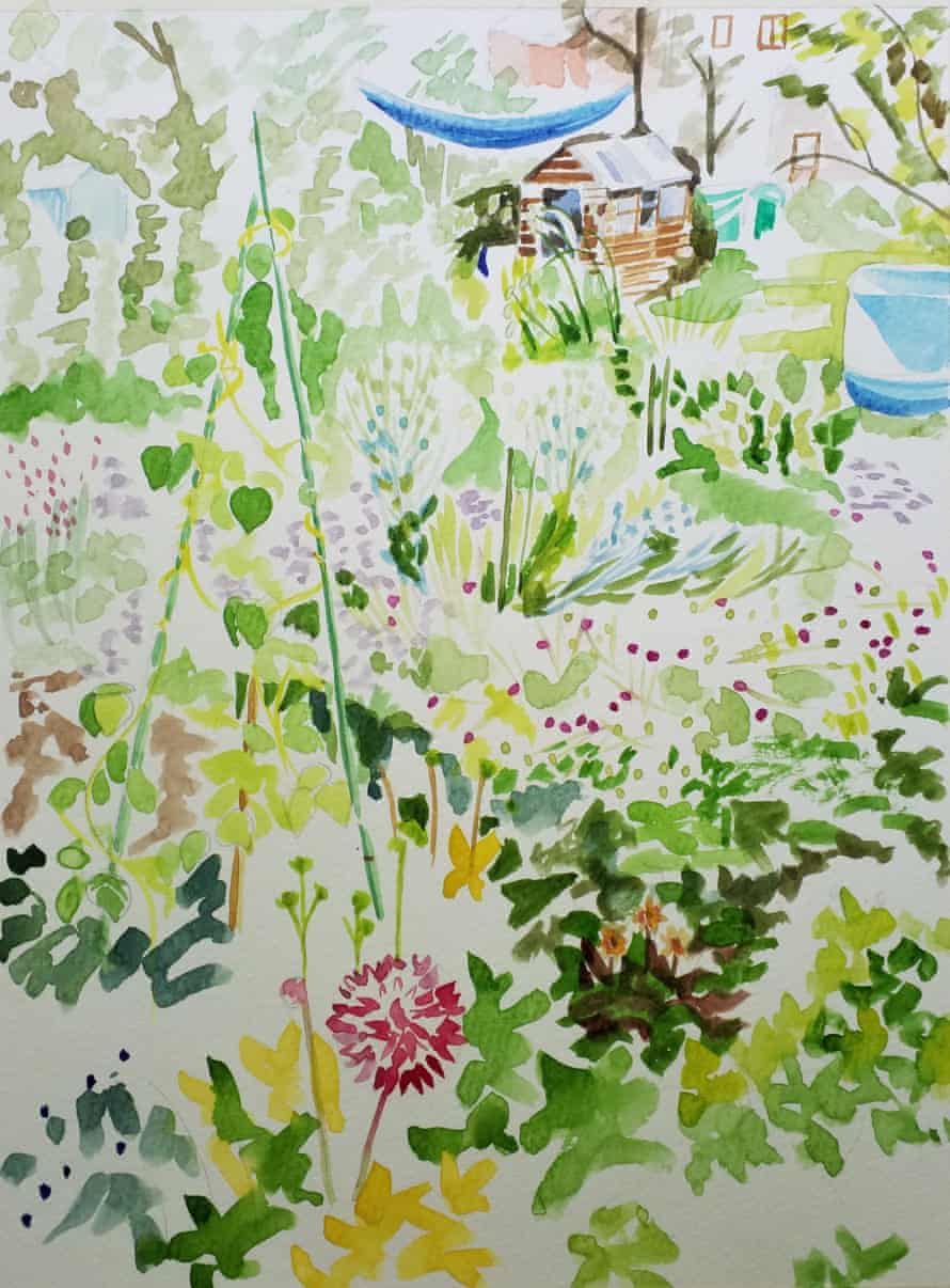 Allotment watercolour