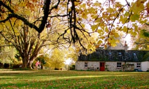 BACK GARDEN WITH TREES AND SWING