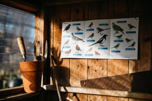 A shed is converted into a makeshift hide complete with birdfeeder