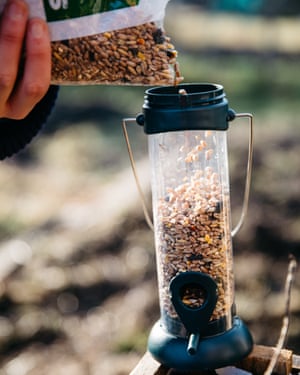 A shed is converted into a makeshift hide complete with birdfeeder