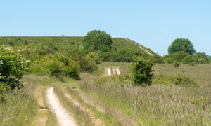 The chalk downland of Martin Down national nature reserve.