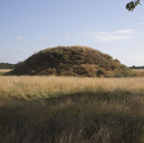 burial mound at the anglo saxon archaeological site of sutton hoo, suffolk, england