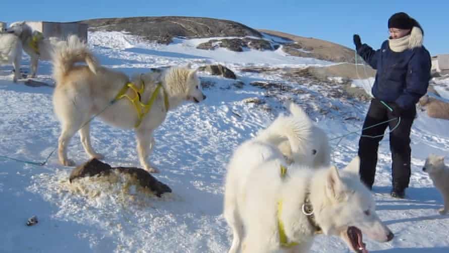 Out on the ice at Ilulissat with sled dogs.