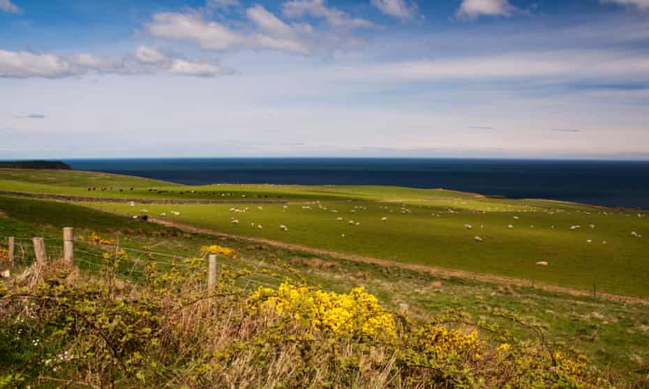 Sea View from the Cinder Track