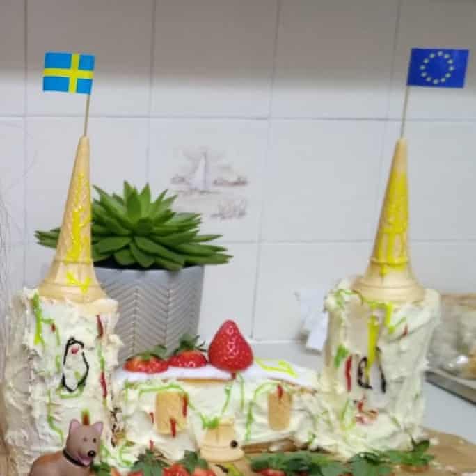 Rapunzel castle cake by Trevor and family