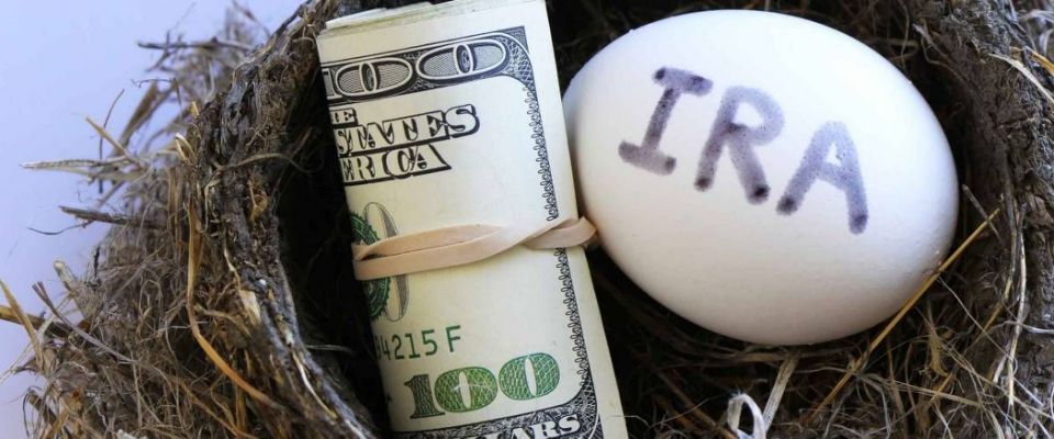 Nest with money and egg with IRA on it