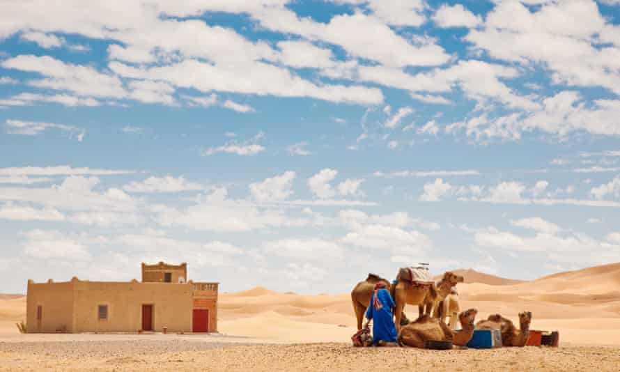 A berber with his camels at the Erg Chebbi sand dunes in Morocco.