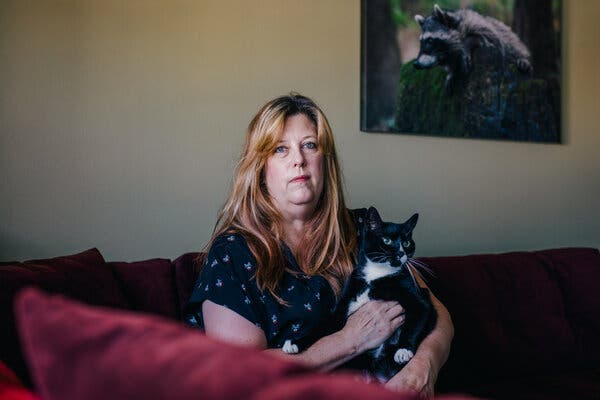 Shelly Ross found herself in a bureaucratic nightmare after requesting a second loan via PayPal for Tales of the Kitty, her San Francisco cat-sitting business.