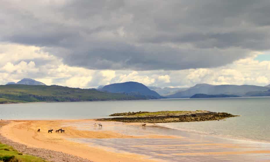 Horses on Redpoint beach, Wester Ross