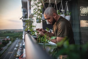 A balcony garden