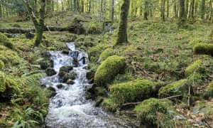 Gamlan River John Miller:National Trust Images