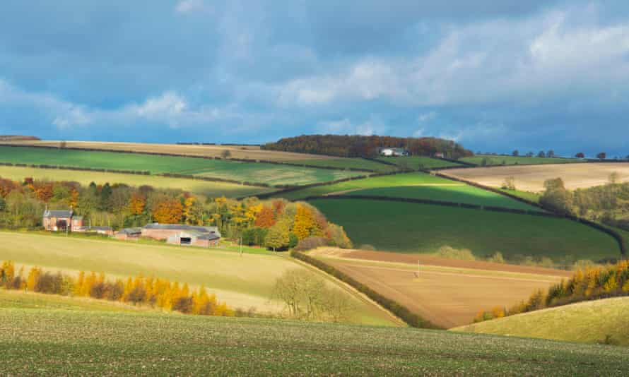 Landscape, farming, pastoral, near Fimber, Sledmere, East; Yorkshire, Wolds, England. Image shot 2015. Exact date unknown.F4KP42 Landscape, farming, pastoral, near Fimber, Sledmere, East; Yorkshire, Wolds, England. Image shot 2015. Exact date unknown.