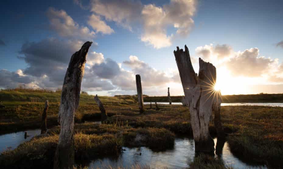 Wild Ken Hill, Norfolk