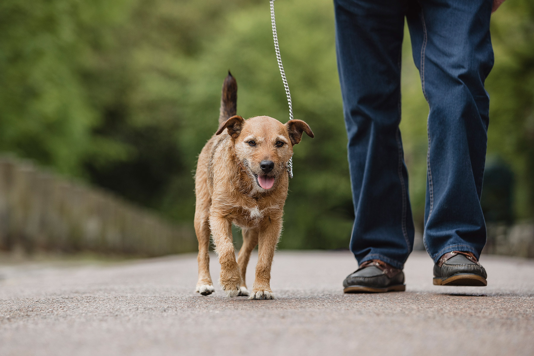  Slow Walkers At Higher Odds For Severe COVID 19 DailyAmerica Com