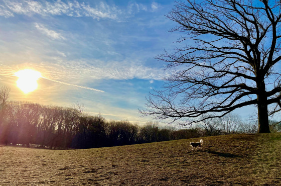 Spring Equinox After the Pandemic