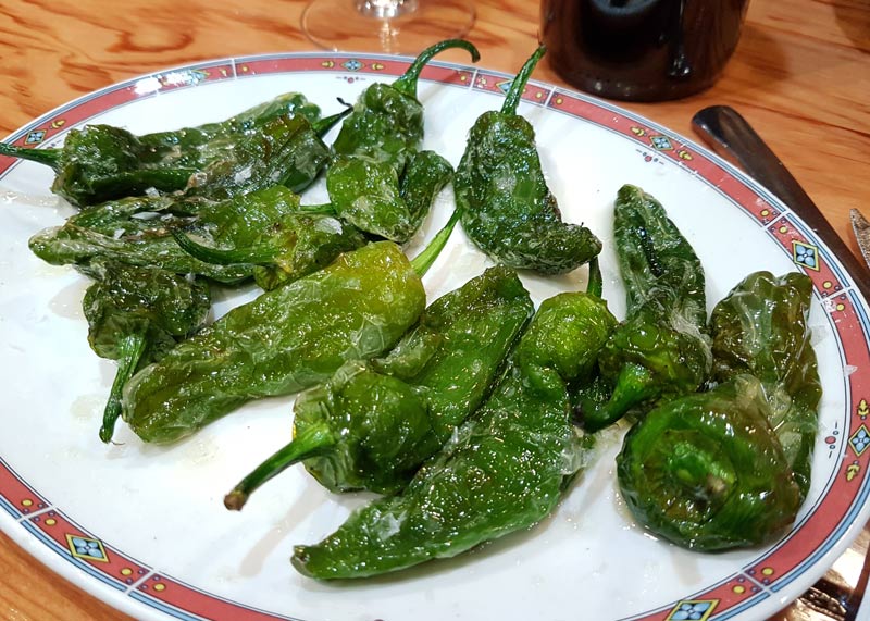 Pimientos de Padron at Bar Nestor