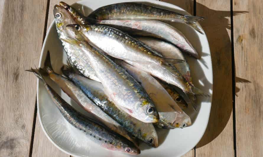 Sardines are plentiful in the surrounding sea.