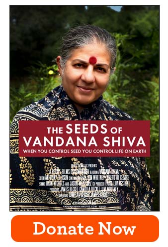 Seeds of Vandana Shiva