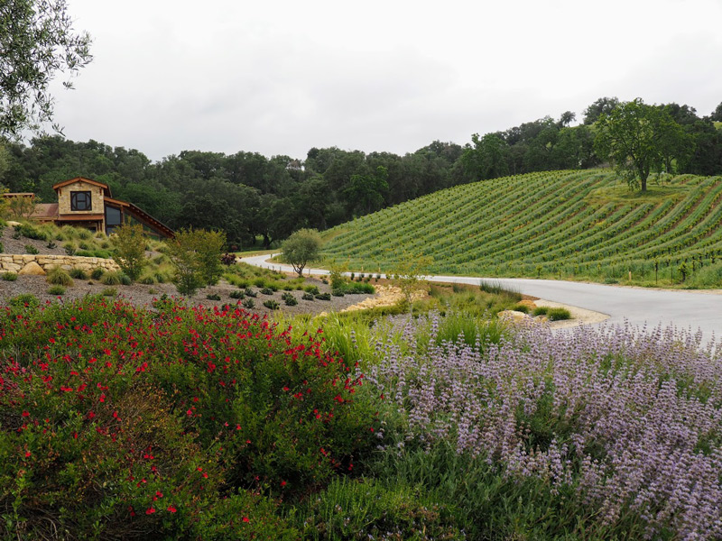 Halter Ranch Vineyards