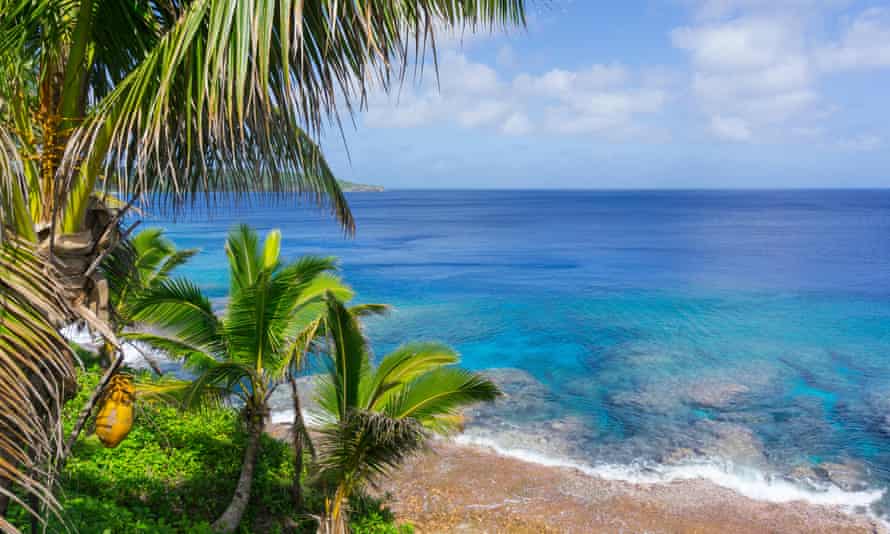 Tropical scene of turquoise water below palm trees and fronds swaying in breeze over ocean