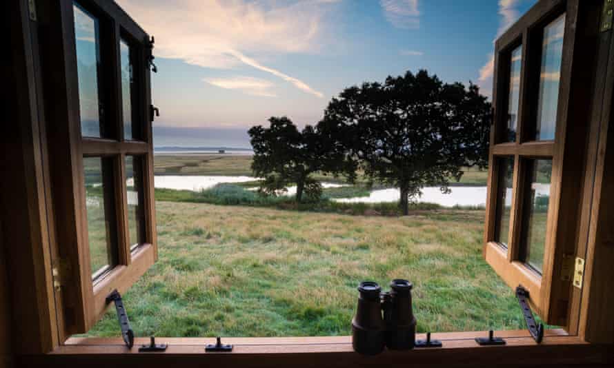 ‘Superb views’: Elmley Nature Reserve, Kent.