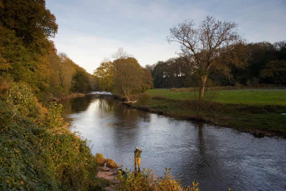 The one that got away: fly fishing on the River Usk at Gliffaes, Wales.