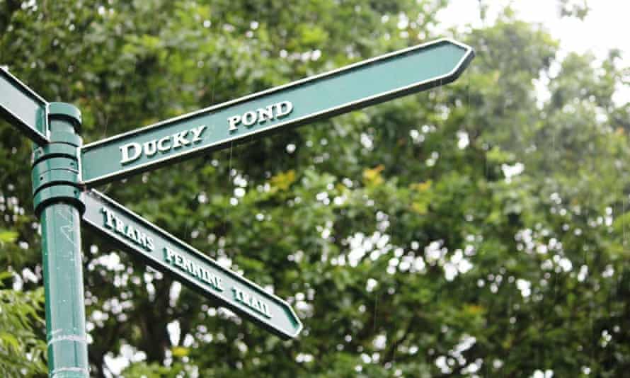 Ducky Pond sign on the Halewood Triangle, Merseyside.