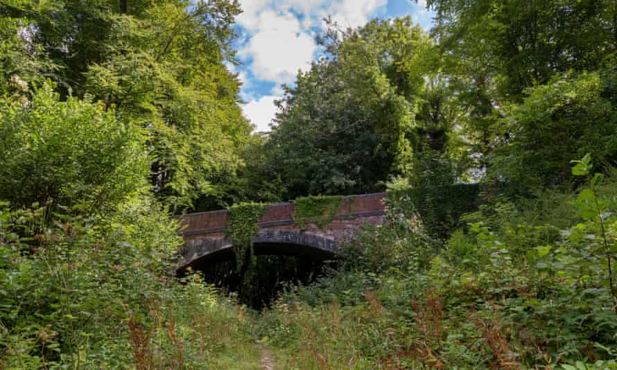 Bridge over the former Meon Valley Railway, dismantled in the 1950s and now a heritage trail.