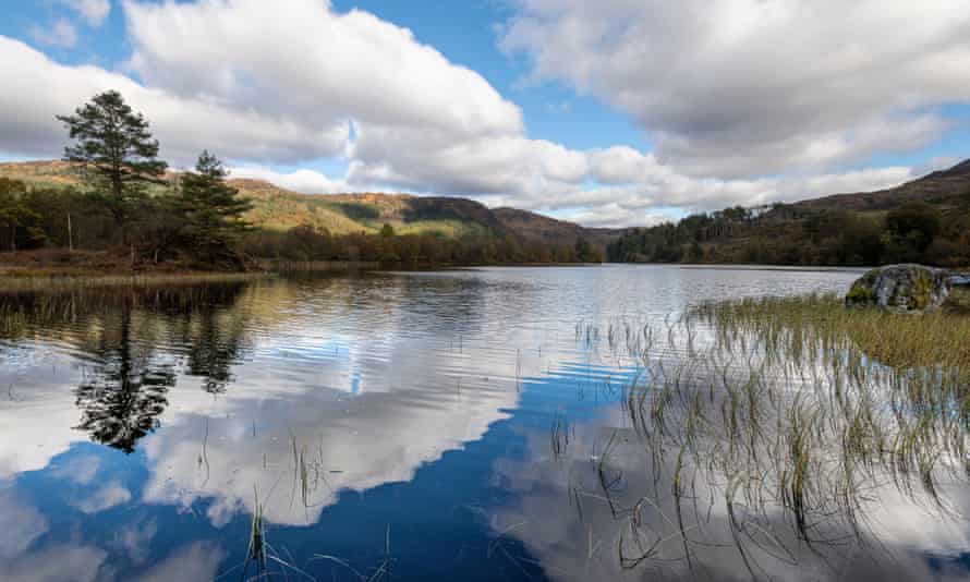 Loch Trool, Galloway Forest Park on a bright autumn day