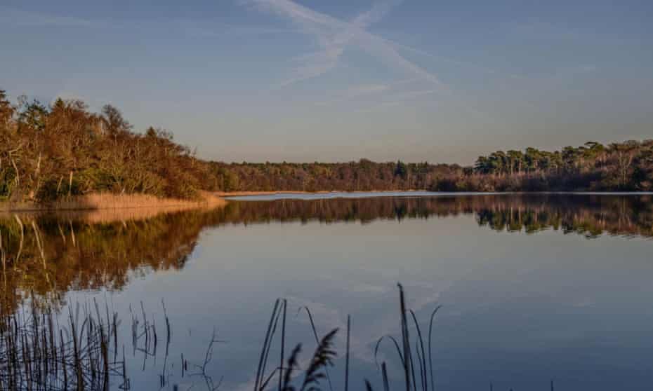 Fritton Lake, Norfolk