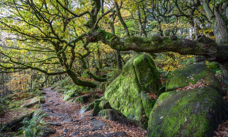 Autumn colours in Padley Gorge, Peak District National Park, Derbyshire2C391B0 Autumn colours in Padley Gorge, Peak District National Park, Derbyshire