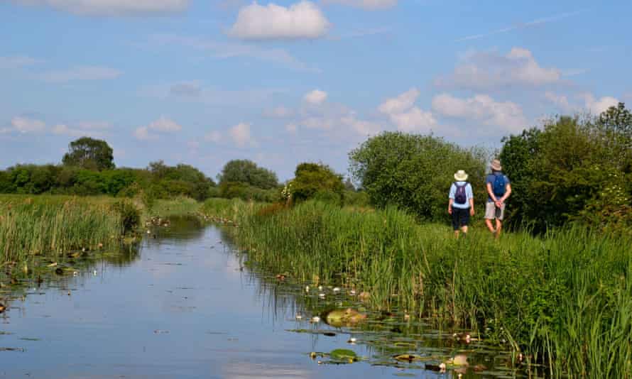 Wicken Fen nature reserve.