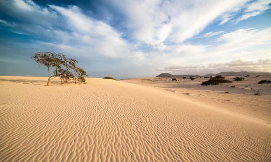 Corralejo national park, Fuerteventura, Spain.